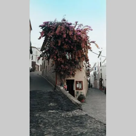 La Dorada 8 *