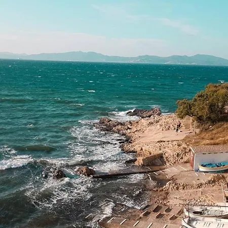 La Dorada 8 *