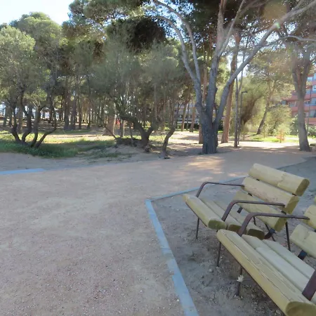 La Dorada 8 * Torroella de Montgrí